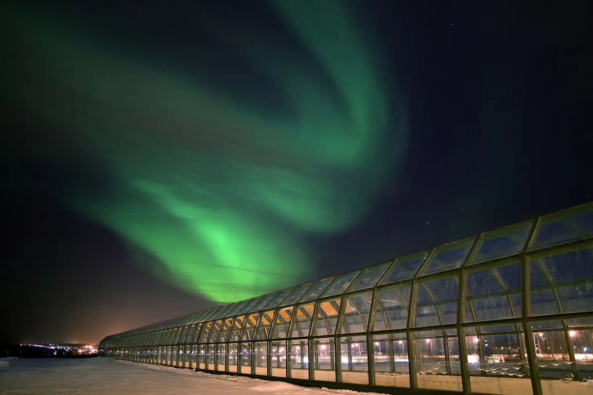 Green northern lights above the glass corridor of the Arktikum in Rovaniemi