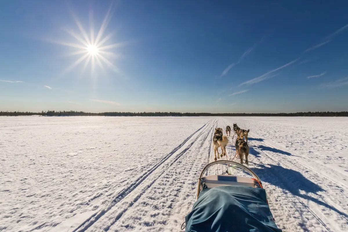 Husky team and sled on a snowy trail beneath a low winter sun