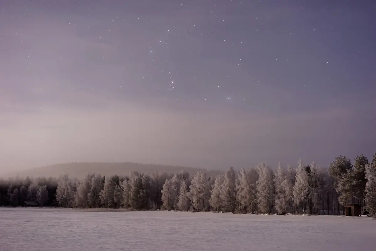 Frosty forest and pale fell under a violet winter twilight sky in Lapland