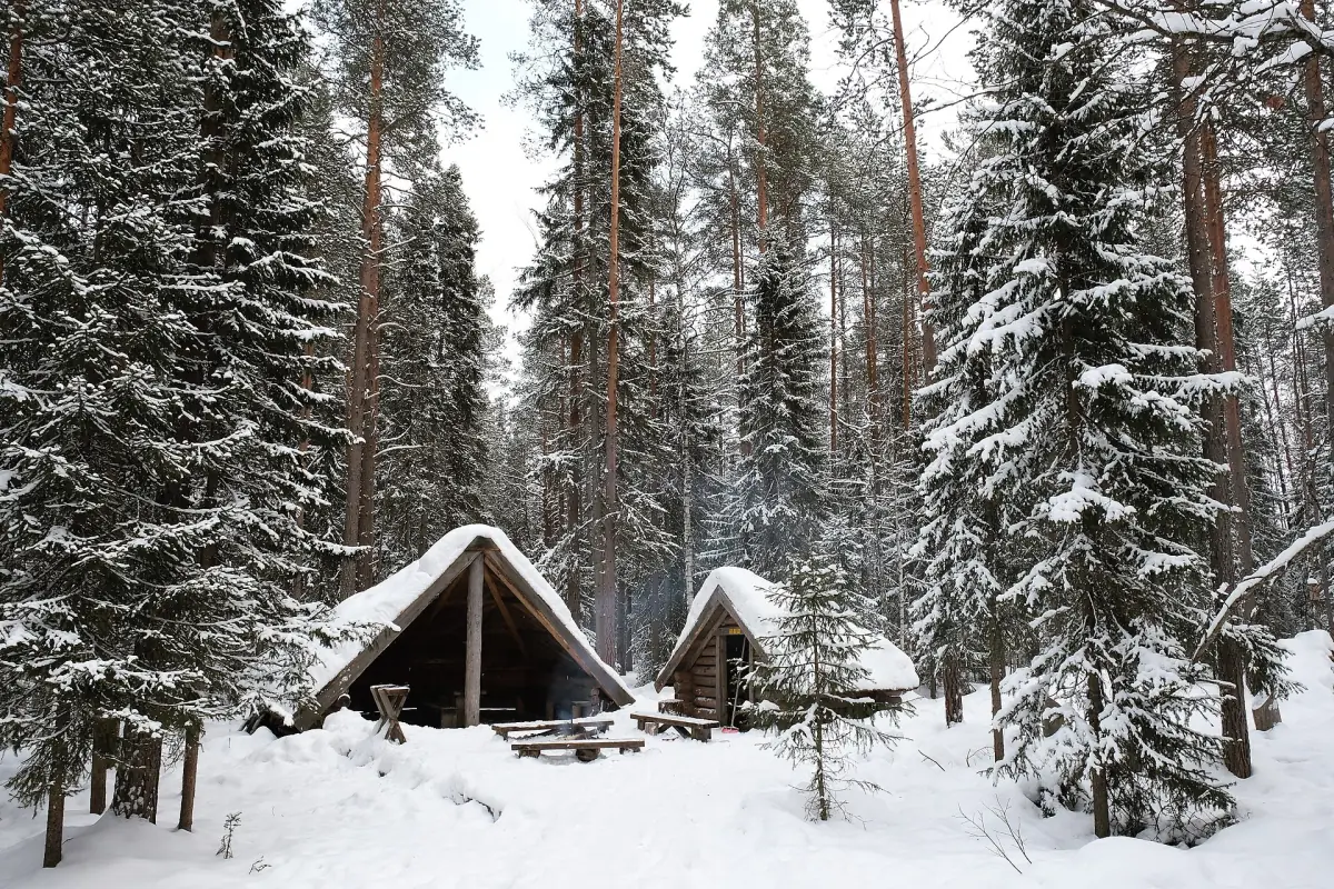 Small wooden huts in a snow-laden spruce forest in Lapland