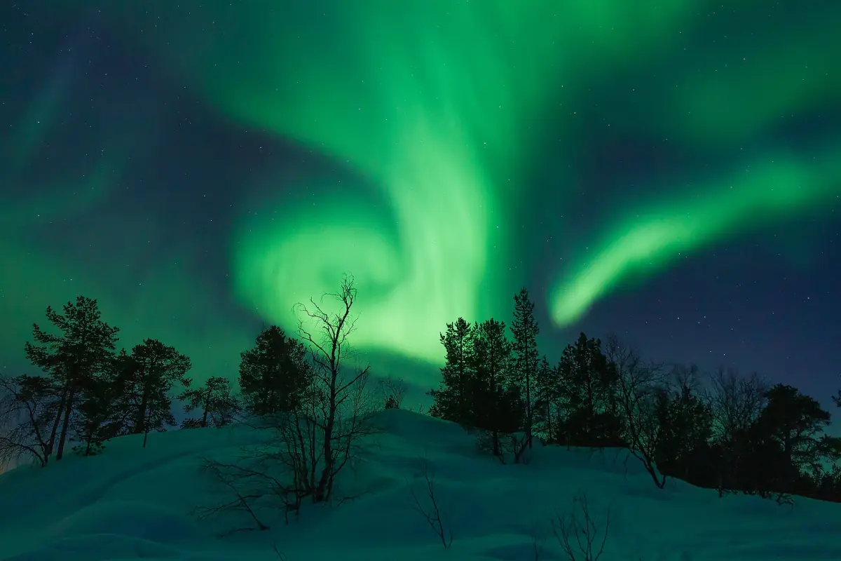 Bright green swirling northern lights above snowy trees in Finnish Lapland